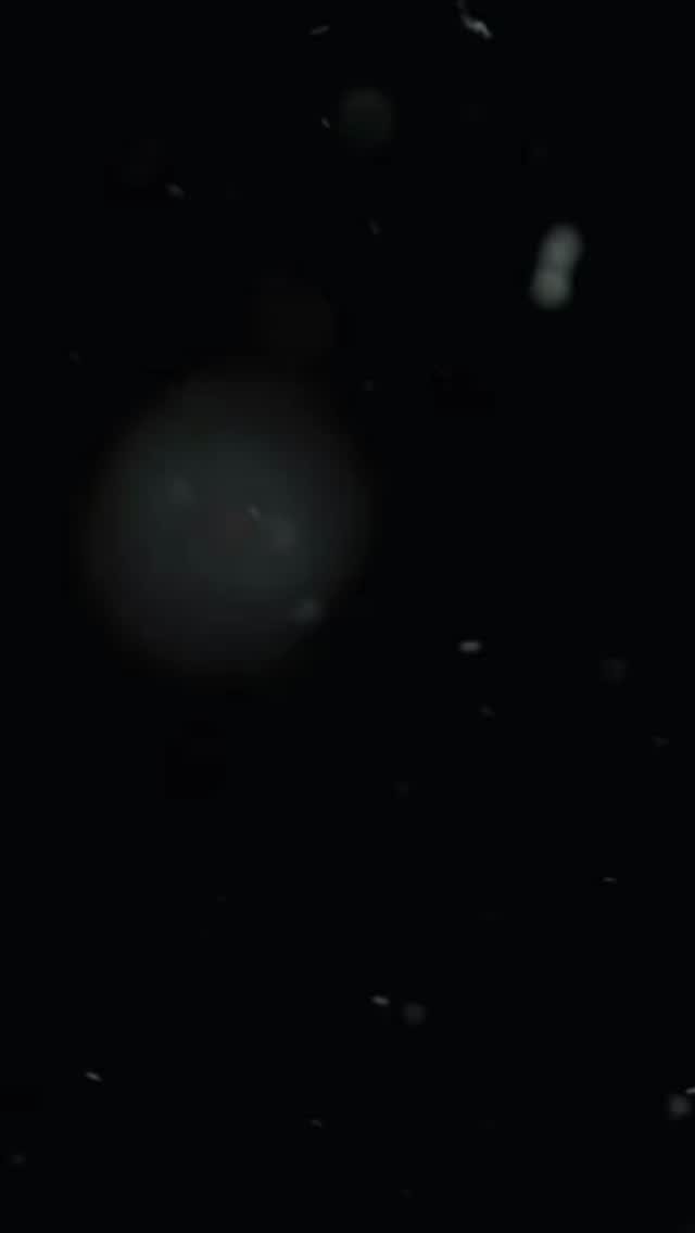 Instagram post from semrexcomunica. This post is in position 1.