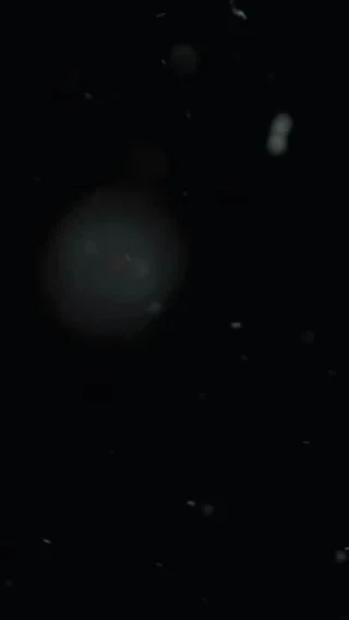 Instagram post from semrexcomunica. This post is in position 5.