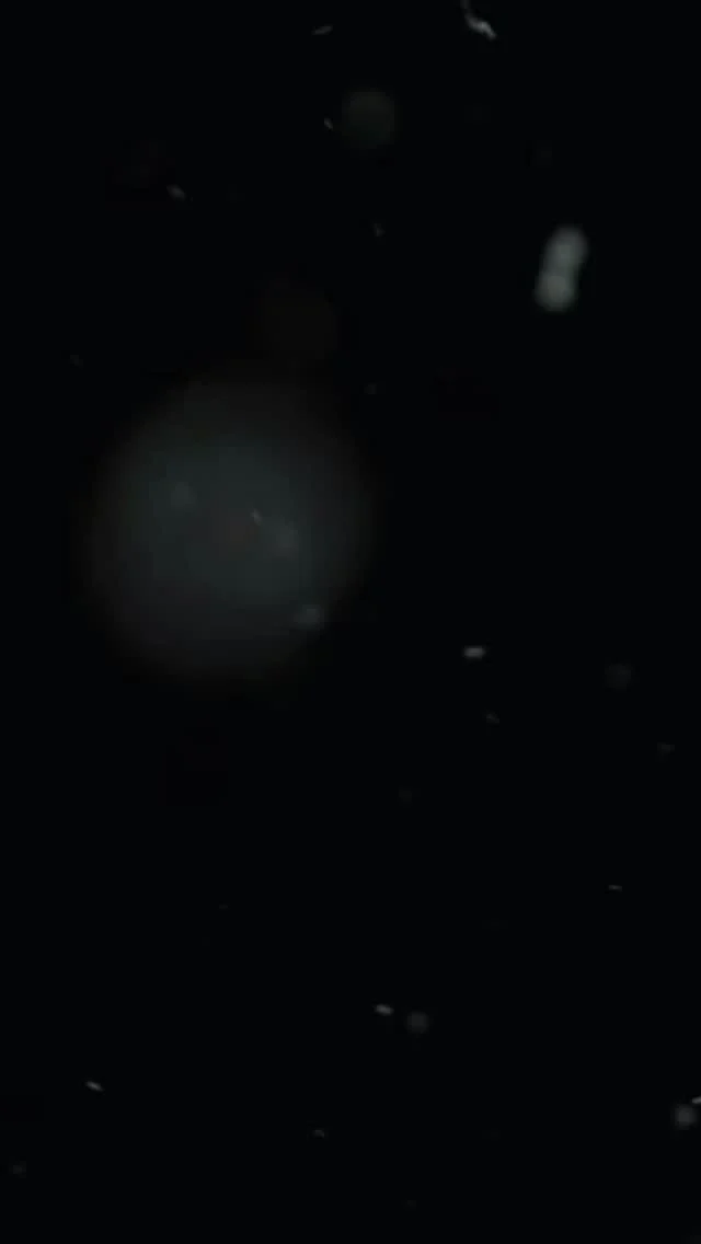 Instagram post from semrexcomunica. This post is in position 4.