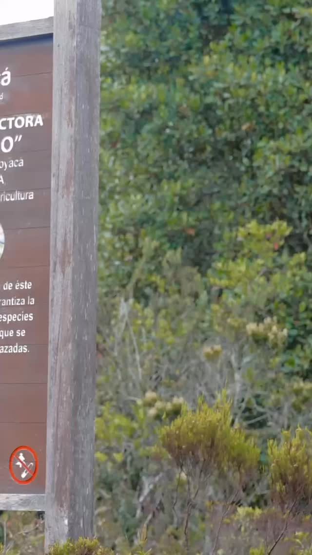 Instagram post from semrexcomunica. This post is in position 1.