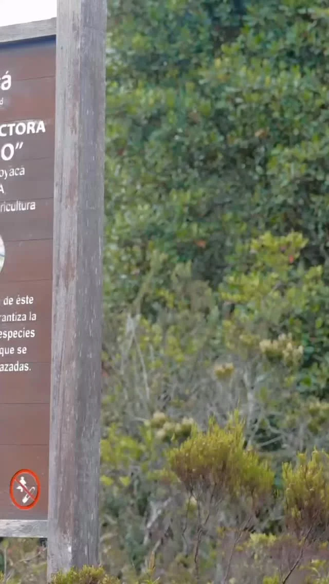 Instagram post from semrexcomunica. This post is in position 1.